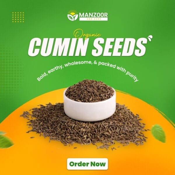 Cumin (Zeera) – Whole & Ground | Manzoor And Sons